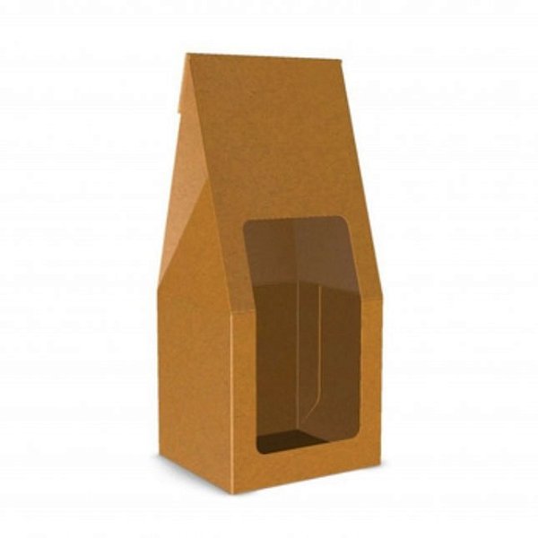 SACO PRACTICE ESPECIAL COM VISOR KRAFT C/10 UND 19X8X7CM