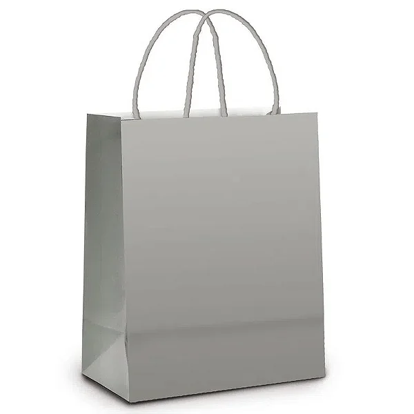 SACOLA PAPEL PRATA M 25X31 C/10
