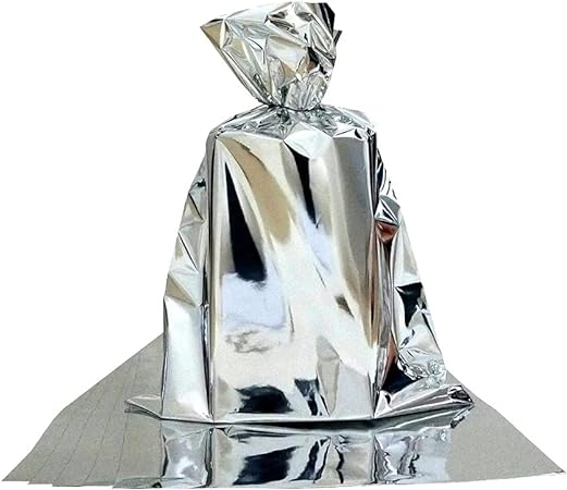 SACO PRESENTE 15X22 PRATA METALIZADO C/50 UND