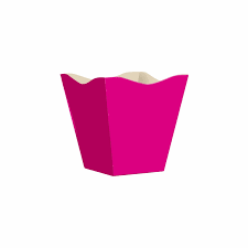 CACHEPO PEQ. PINK LISO C/10