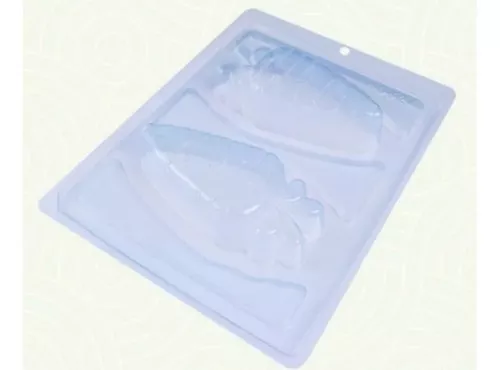 FORMA ESPECIAL TRADICIONAL CENOURINHA