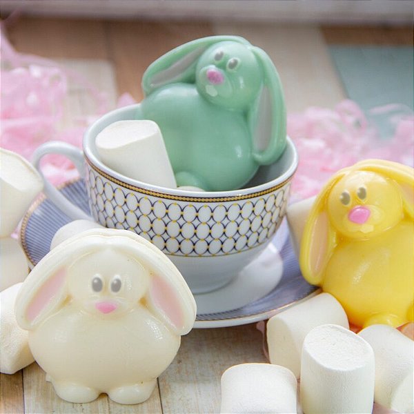 FORMA ESPECIAL TRADICIONAL COELHO ESFERICO