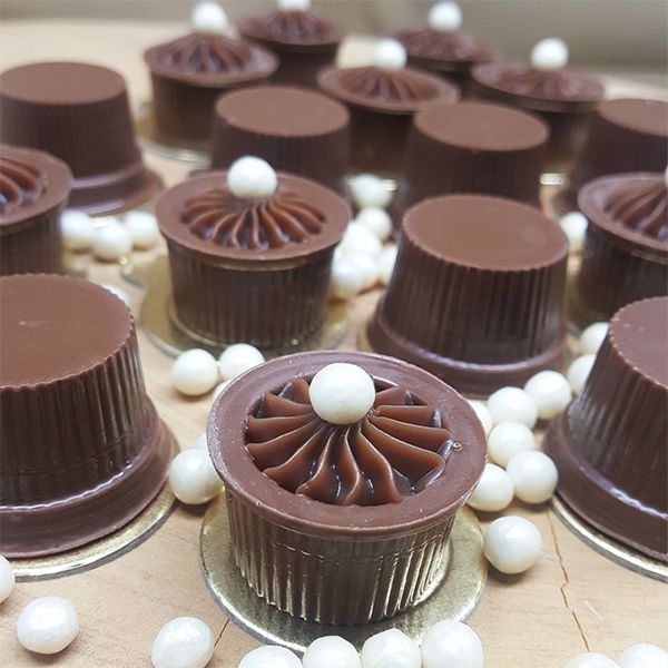 FORMA ESPECIAL CHOCOLATE ALPINO REF 9665