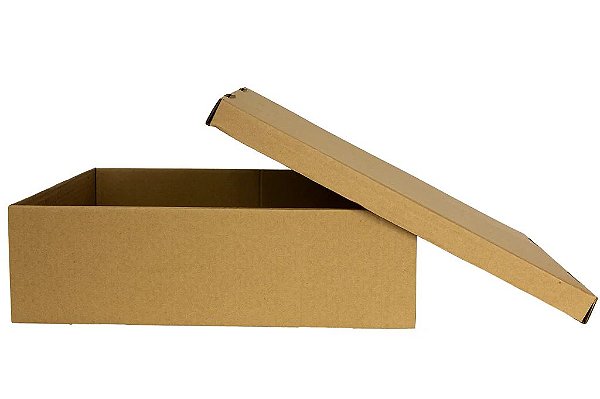 CAIXA PAPELAO KRAFT 31X25X12 N.3