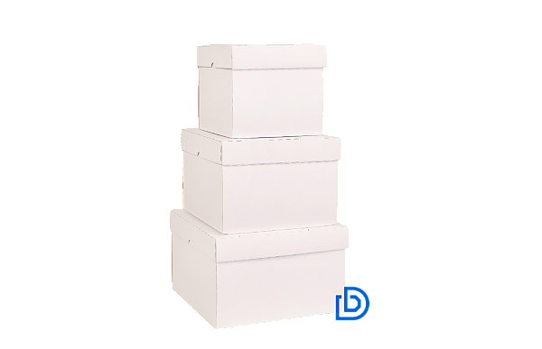 CAIXA BRANCA P/ BOLO TAM Nº 3 28X28X20 C/5