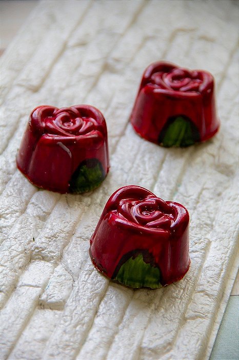 FORMA ESPECIAL ROSA PERES 9420