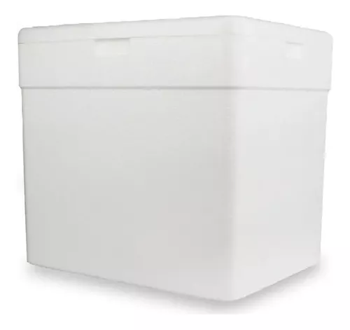 CAIXA ISOPOR TERMICA PM-140 08 LTS 29x21x24