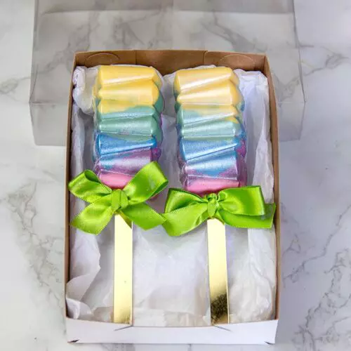 FORMA ESPECIAL TRAD. MINI PALETA CONE REF 10486