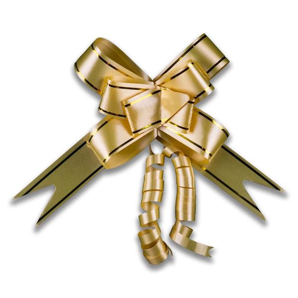 LACO PRONTO 39X18 DOURADO COM PRATA C/10 UND