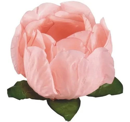 FORMA DOCE PRINCESA PESSEGO C/30 UND