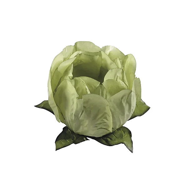 FORMA DOCE PRINCESA PISTACHE CLARISSIMO C/30 UND