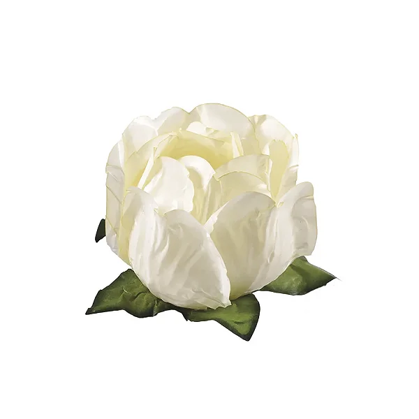 FORMA DOCE PRINCESA MARFIM C/30 UND