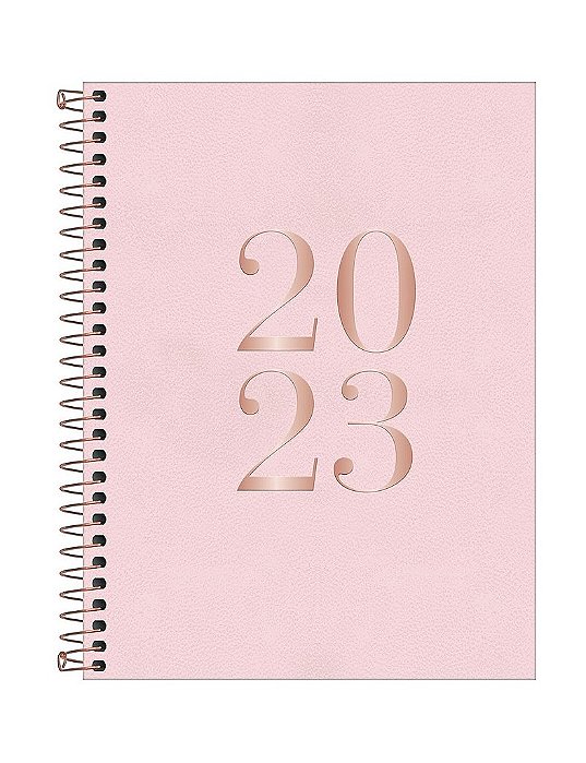 Agenda Executiva Espiral Diária 17,7 x 24 cm