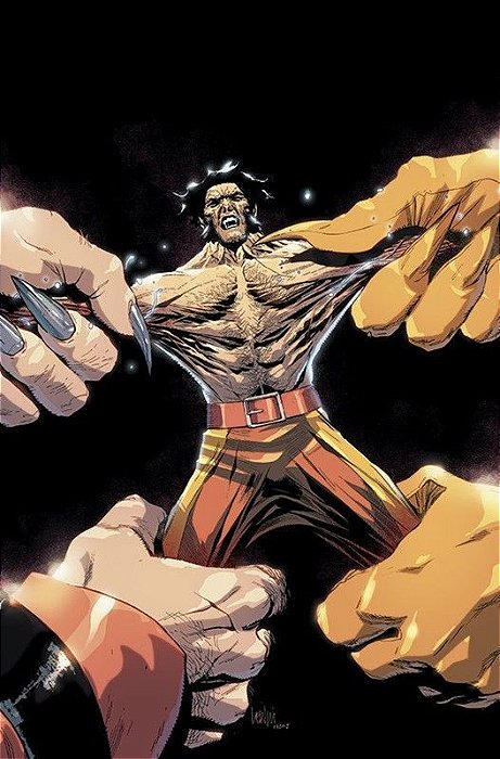 Wolverine - Vol. 28