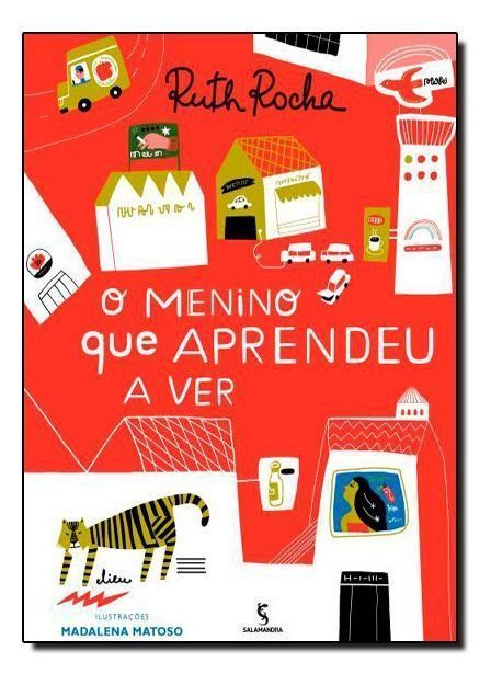 Menino Que Aprendeu a Ver, O