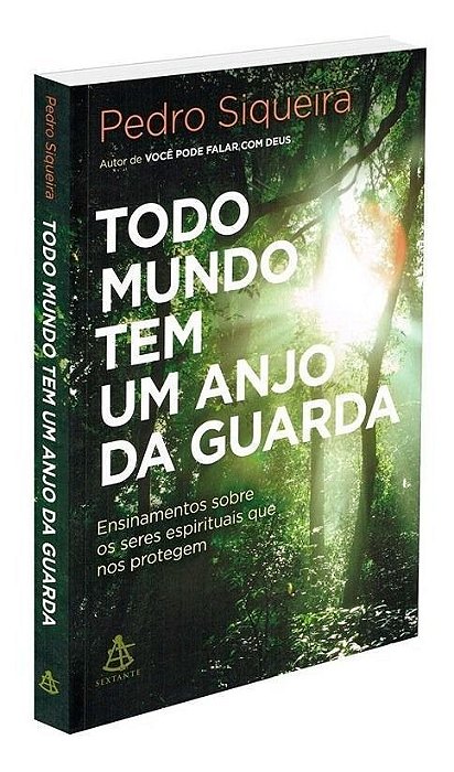 Todo Mundo Tem Um Anjo Da Guarda - Ensinamentos Sobre Os Seres Espirituais Que Nos Protegem