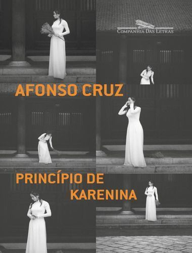 Princípio De Karenina