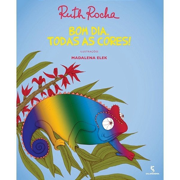 Bom Dia Todas As Cores