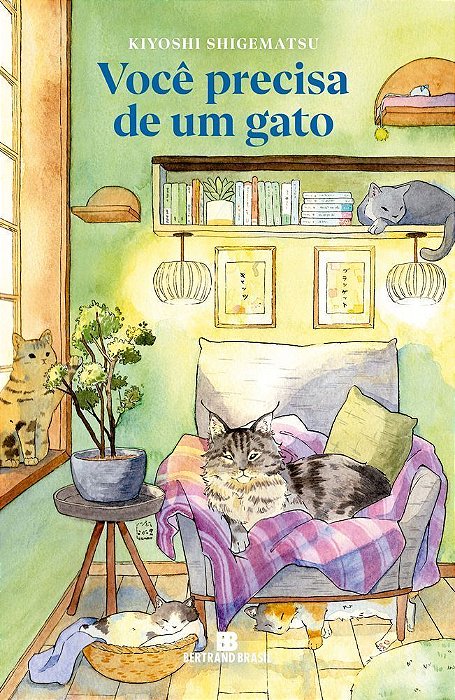 Você Precisa de Um Gato