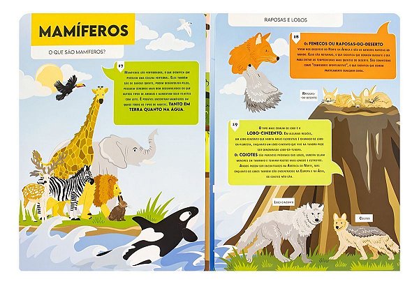 Vamos Falar Sobre... Reino Animal