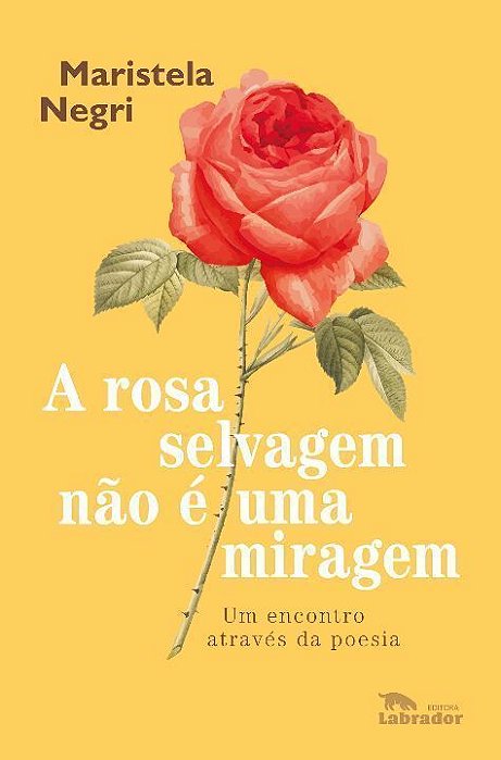 A rosa selvagem não é uma miragem