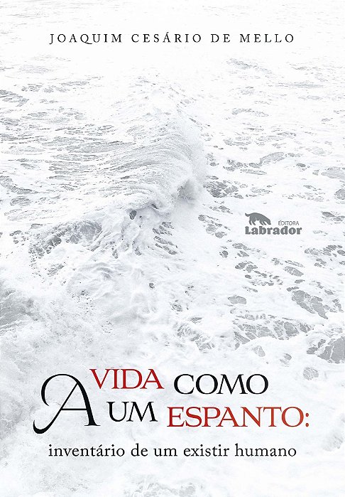 a Vida Como Um Espanto - Inventário De Um Existir Humano
