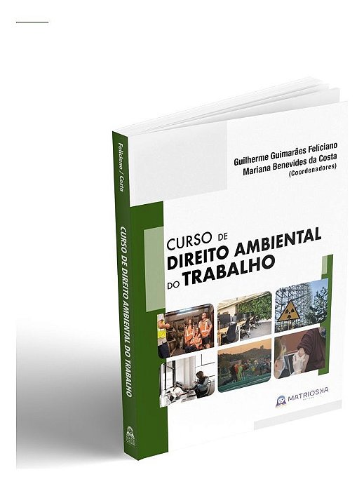 Curso De Direito Ambiental Do Trabalho - 01Ed/21