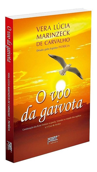 o Voo Da Gaivota