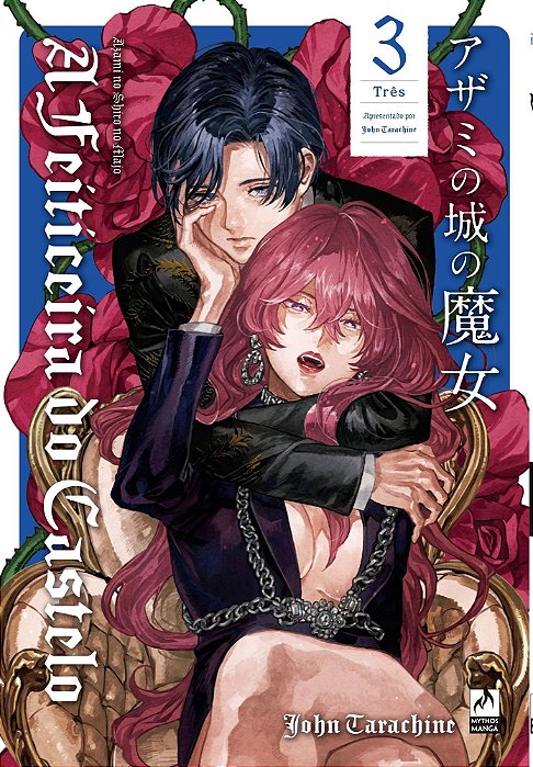 A Feiticeira do Castelo - Vol. 03