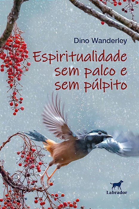 Espiritualidade Sem Palco e Sem Púlpito