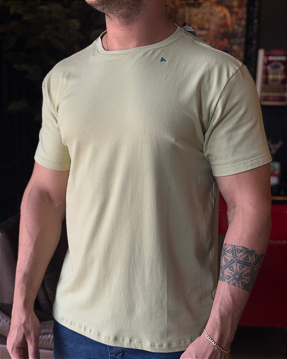 Camiseta Básica Pima Verde Claro Hau.co