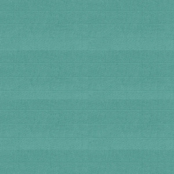 Fraldinha Lisa Care Verde Malva  2x2