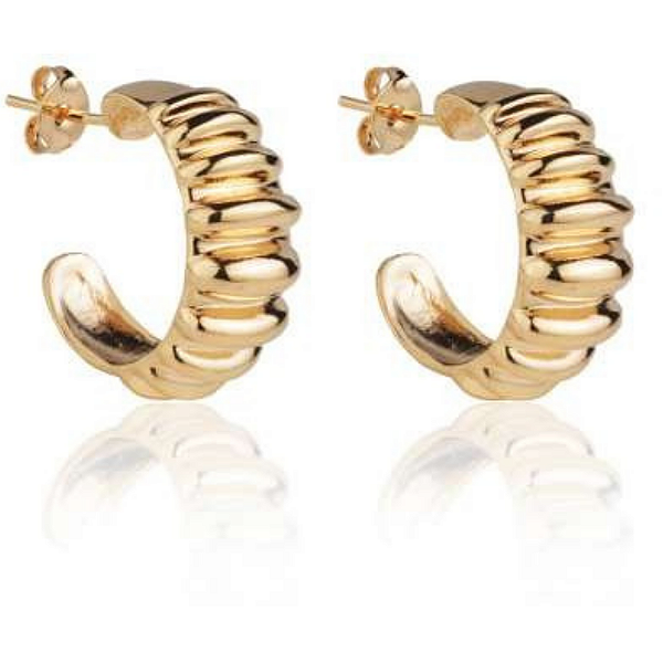 Brinco e Ear Cuff