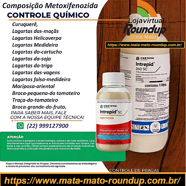 Inseticida Intrepid 240 Fracionado 100 ml - Composição Metoxifenozida
