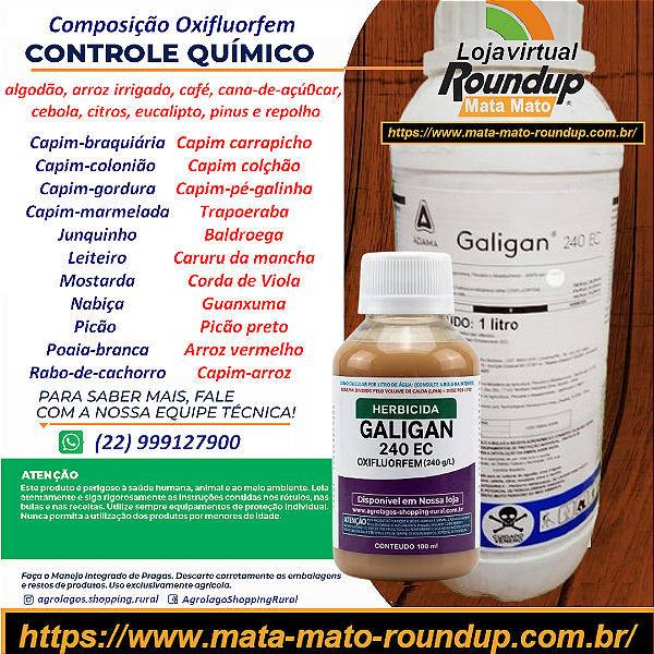 Herbicida Galigan fracionado 100 ml - Composição Oxifluorfem