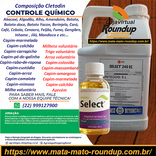 Herbicida Graminicida Select 240 Fracionado 100 ml - Composição Cletodin