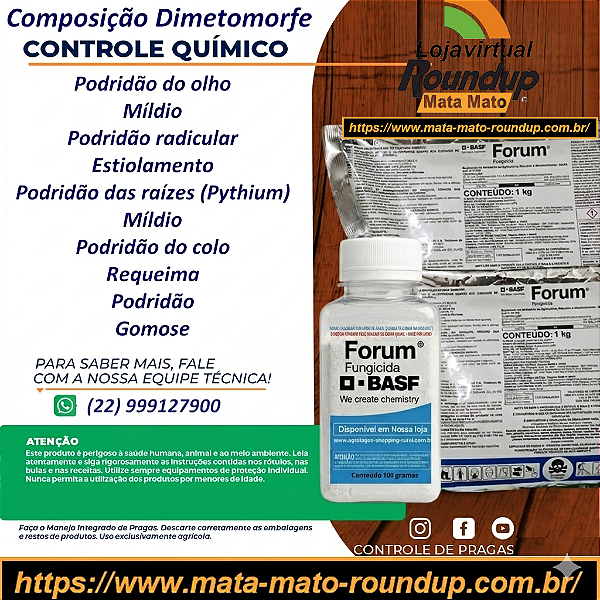 Fungicida Forum Fracionado 50 g - Composição Dimetomorfe