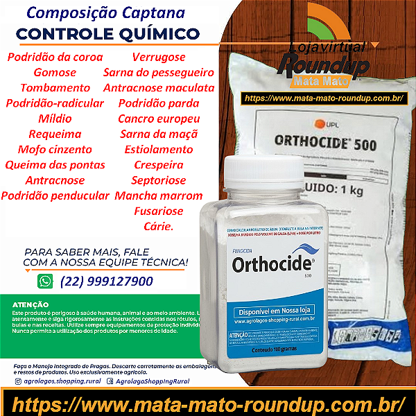 Fungicida Orthocide 500 Fracionado 100 gr - Composição Captana