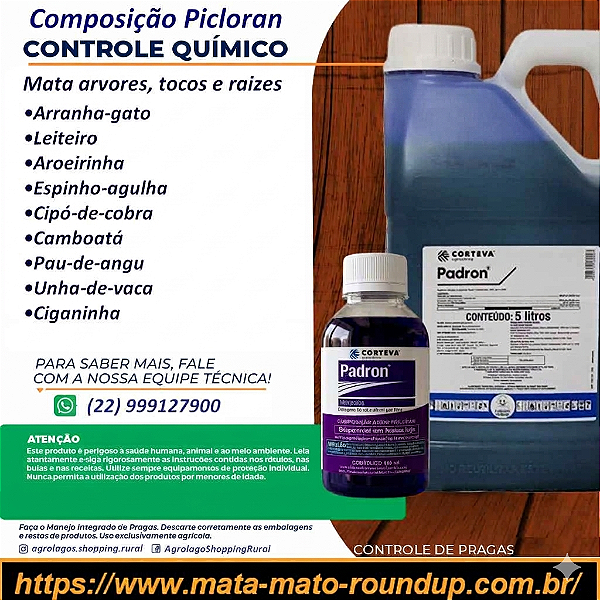Herbicida Padron Fracionado 100 ml - Mata Arvores, Tocos e Raízes Picloran