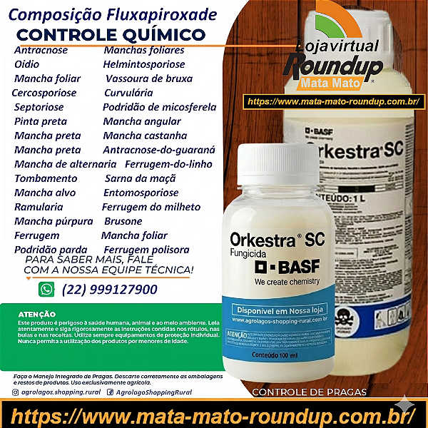 Fungicida Orkestra Fracionado 100 ml - Composição Fluxapiroxade