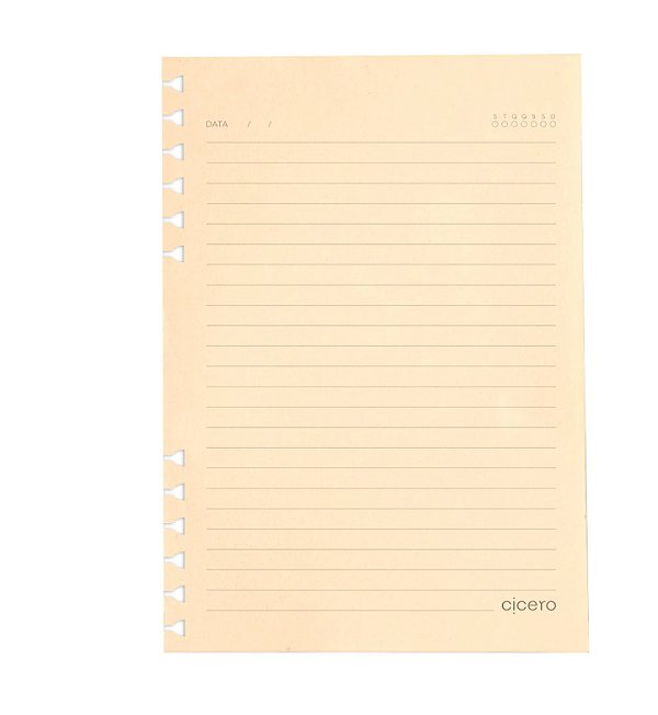 Refil Caderno Organizador A5 Pólen PAUTADO