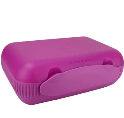 Porta Lanches com Divisórias Tupperware
