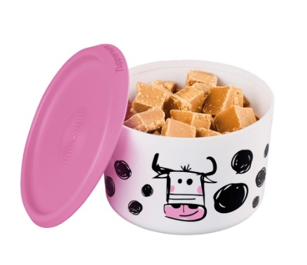 Mini Instantânea Mágica Vaquinha 575ml