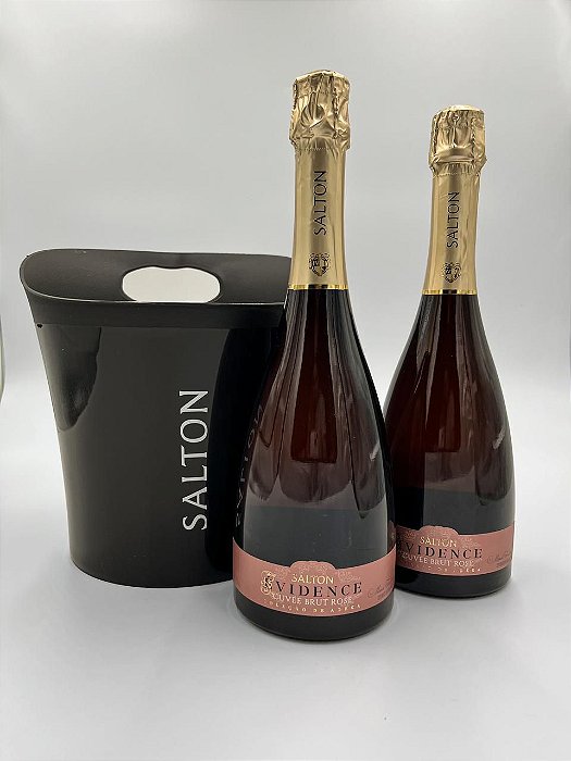 Kit 02 Espumantes Salton Evidence Brut Rose + Balde