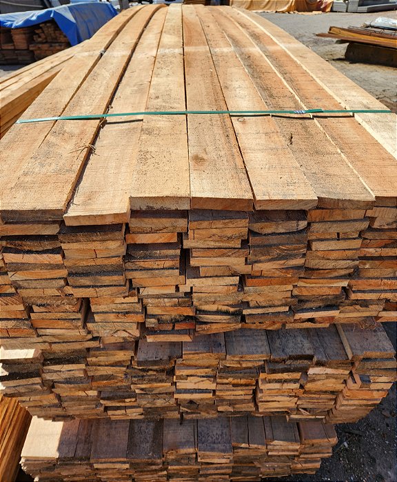 Guia de Eucalipto por Metro