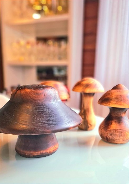 Cogumelos Decorativos (Coleção com 5 peças)