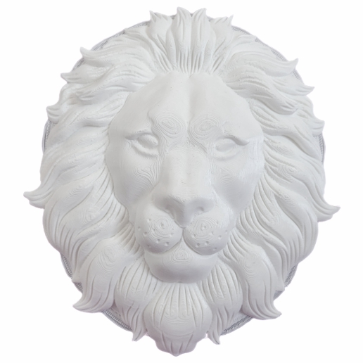 Leão Face