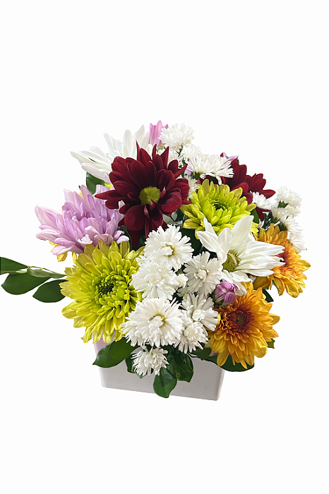 Arranjo Flores do Campo Mini