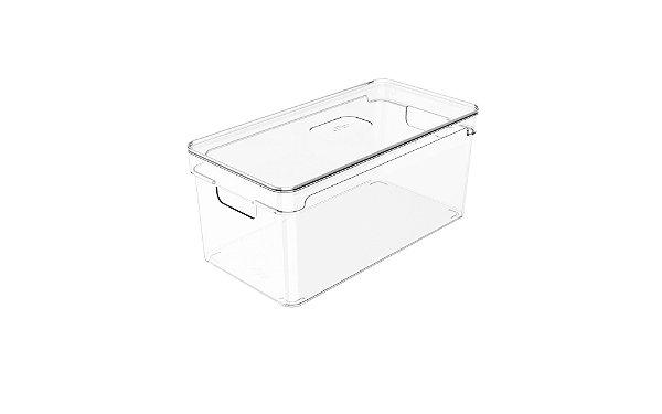 Organizador Clear com Tampa 30x15x13 cm