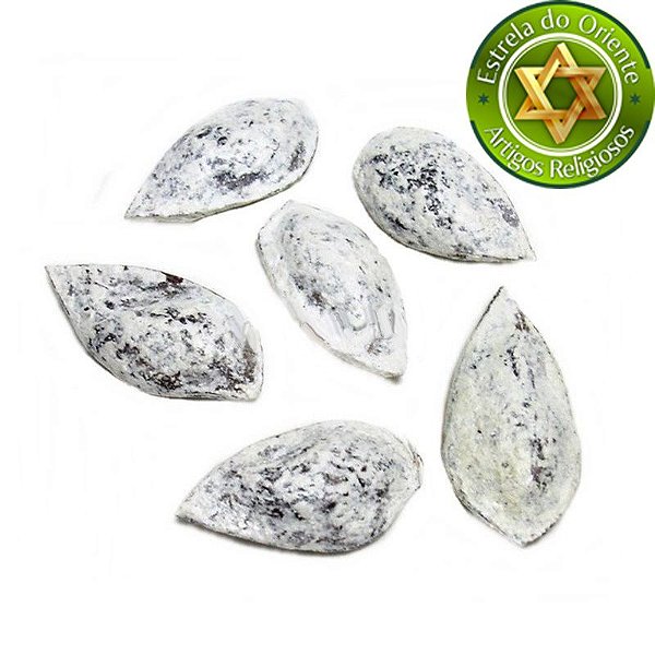 Fava Patchouli